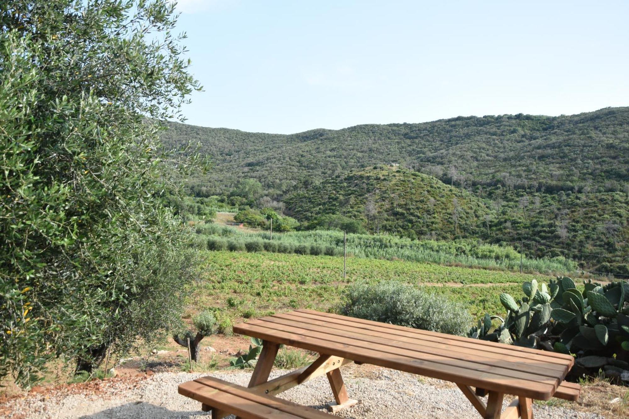 Apartmán Elba Borgo Di Latrano Magazzini  Exteriér fotografie